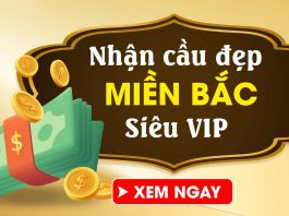 Dự Đoán Soi Cầu Xổ Số Miền Bắc Từ 1/1đến 15/11/2024 chi tiết, đầy đủ, chuẩn xác nhất