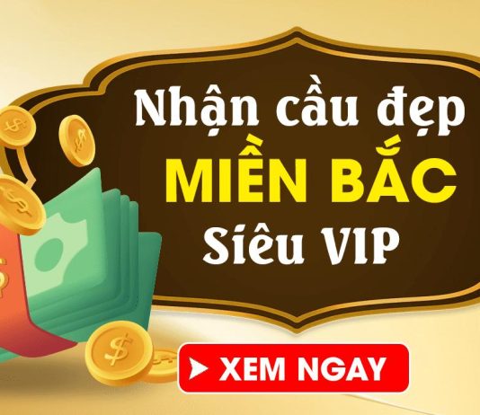 Dự Đoán Soi Cầu Xổ Số Miền Bắc Từ 1/1đến 15/11/2024 chi tiết, đầy đủ, chuẩn xác nhất