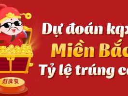 Dự Đoán Soi Cầu Xổ Số Miền Bắc Từ 1/1 đến 15/1/2025 chi tiết, đầy đủ, chuẩn xác nhất